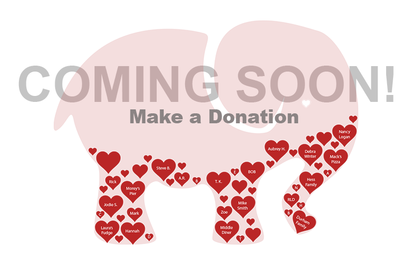 Elephant Donation Graph