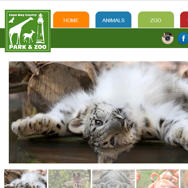 Cape May County Zoo Website Thumbnail Image
